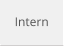 Intern