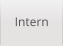 Intern
